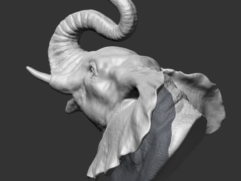 Elephant Head AM05 3D print model Modèles 3D en vedette