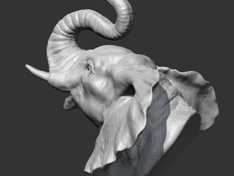 Elephant Head AM05 3D print model 3D Print Model