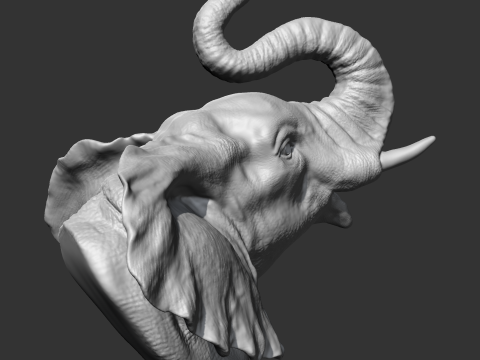 Elephant Head AM05 3D print model Modèles 3D en vedette