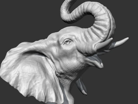 Elephant Head AM05 3D print model 3D Print Model