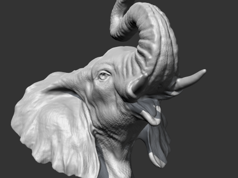 Elephant Head AM05 3D print model Modèles 3D en vedette