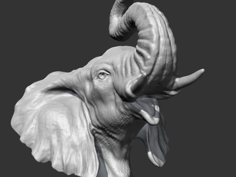 Elephant Head AM05 3D print model 3D Print Model