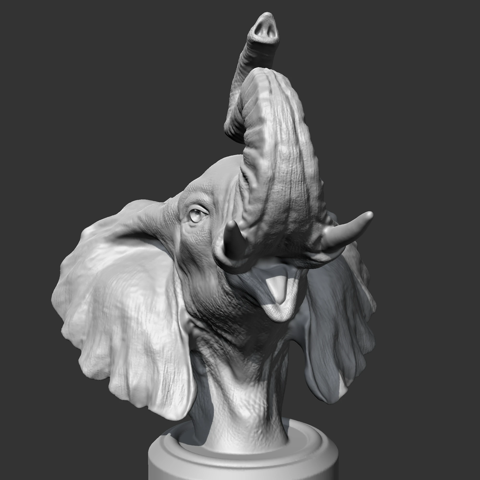 Elephant Head AM05 3D print model 3D Print Model .c4d .max .obj .3ds .fbx .stl .blend 