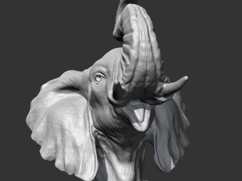Elephant Head AM05 3D print model 3D प्रिंट मॉडल