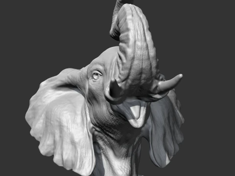 Elephant Head AM05 3D print model 3D Print Model