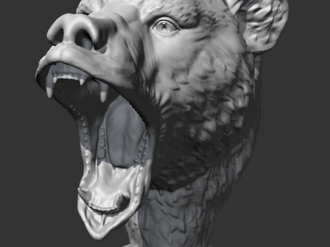 Grizzly Bear Head AM06 3D print model 3D Принт Модель