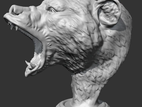 Grizzly Bear Head AM06 3D print model 3D Print Model