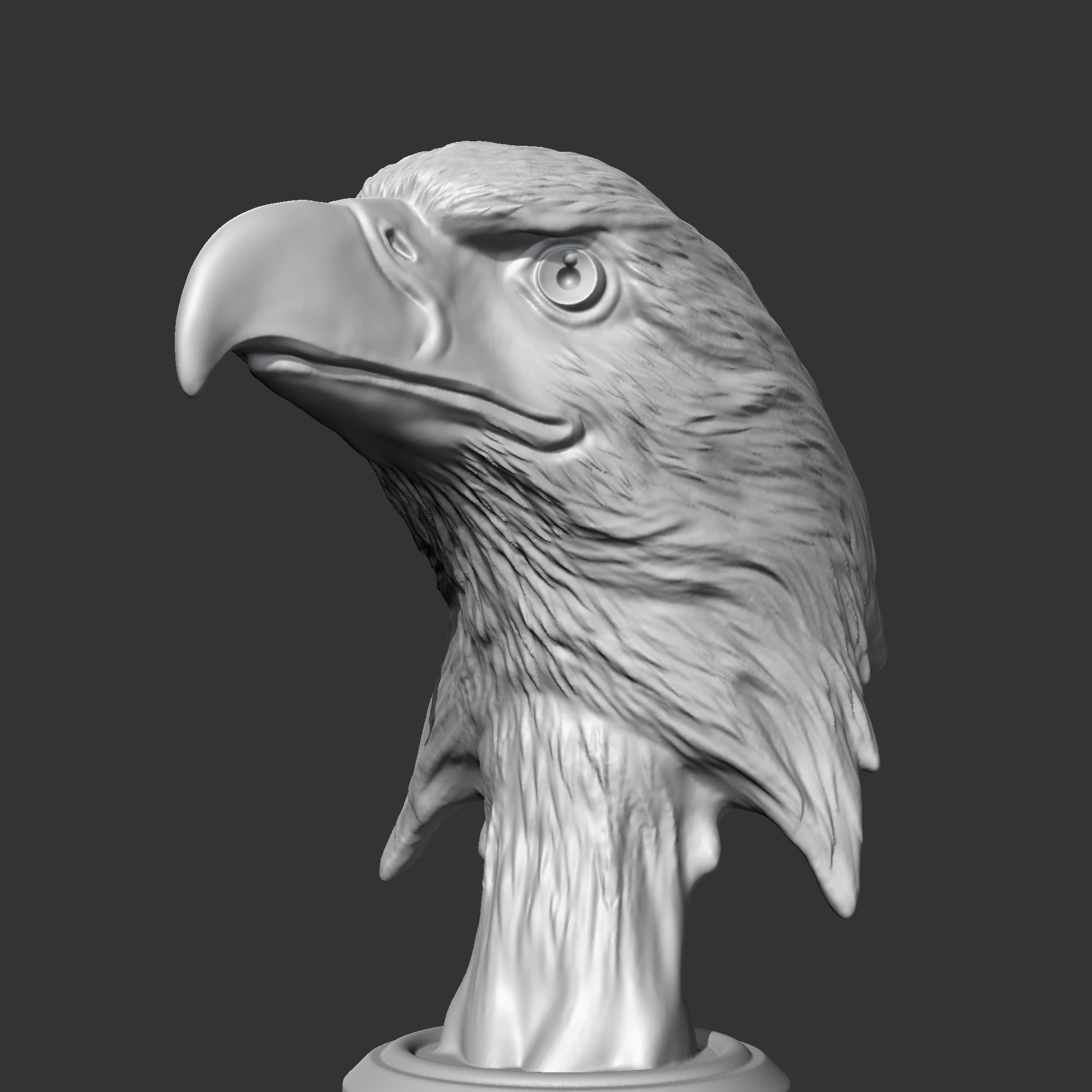 Bald Eagle Head AM07 3D print model 3D Print Model .c4d .max .obj .3ds .fbx .stl .blend 