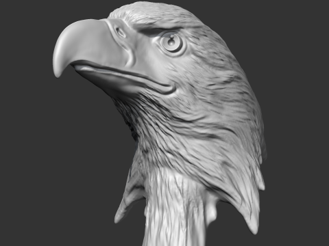 Bald Eagle Head AM07 3D print model 3D Print Model