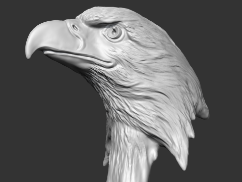 Bald Eagle Head AM07 3D print model 3D Druckmodell