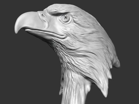 Bald Eagle Head AM07 3D print model 3D Print Model