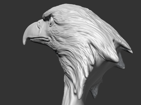 Bald Eagle Head AM07 3D print model 3D Druckmodell