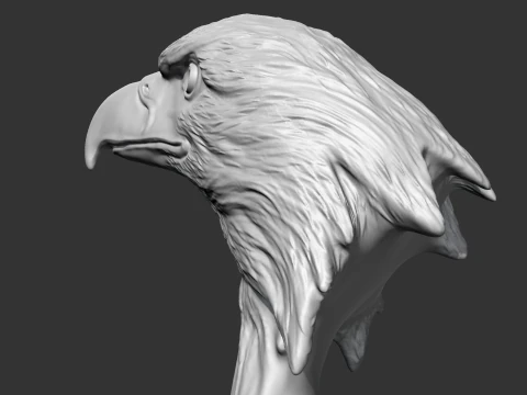 Bald Eagle Head AM07 3D print model 3D Print Model