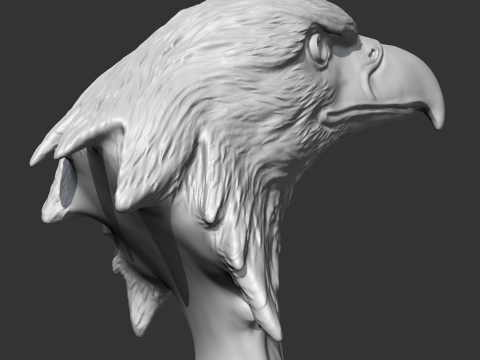 Bald Eagle Head AM07 3D print model 3D Druckmodell