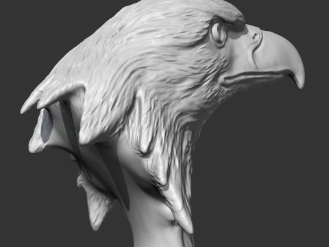 Bald Eagle Head AM07 3D print model 3D Print Model