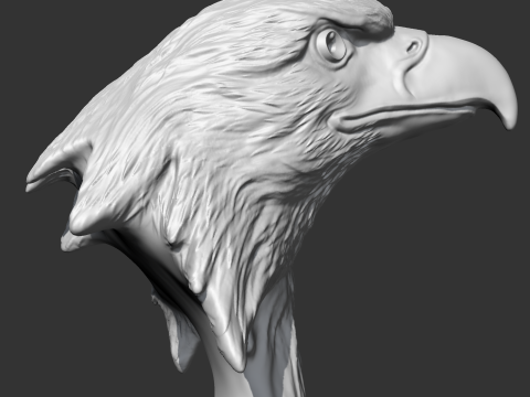 Bald Eagle Head AM07 3D print model 3D Druckmodell