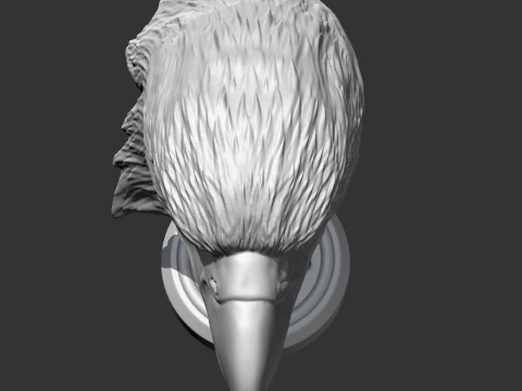 Bald Eagle Head AM07 3D print model 3D Print Model