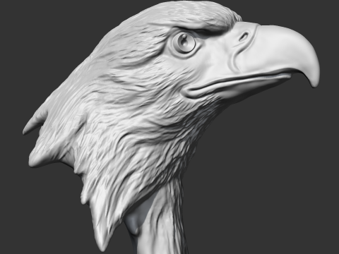 Bald Eagle Head AM07 3D print model 3D Druckmodell