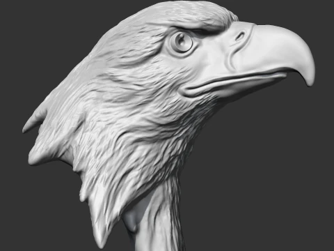 Bald Eagle Head AM07 3D print model 3D Print Model