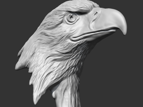 Bald Eagle Head AM07 3D print model 3D Druckmodell