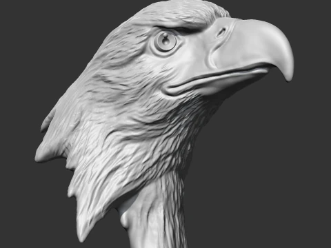 Bald Eagle Head AM07 3D print model 3D Print Model