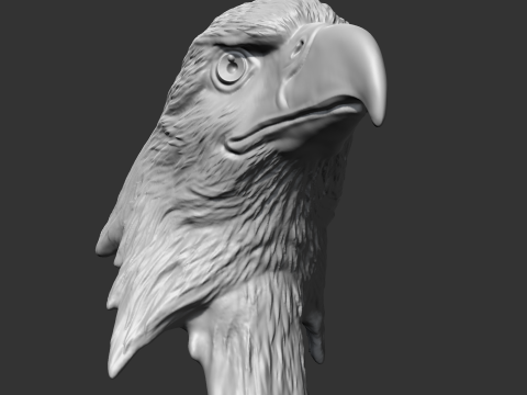 Bald Eagle Head AM07 3D print model 3D Druckmodell