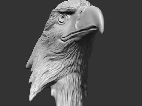 Bald Eagle Head AM07 3D print model 3D Print Model