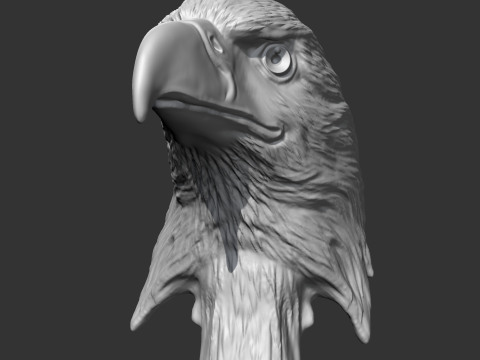 Bald Eagle Head AM07 3D print model 3D Druckmodell