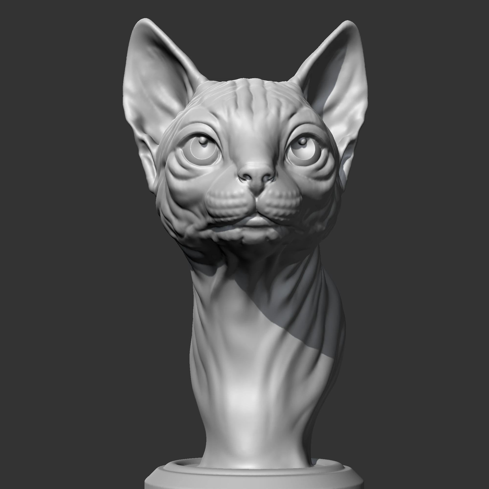 Sphynx Cat Head AM08 3D print model 3D Print Model .c4d .max .obj .3ds .fbx .stl .blend 