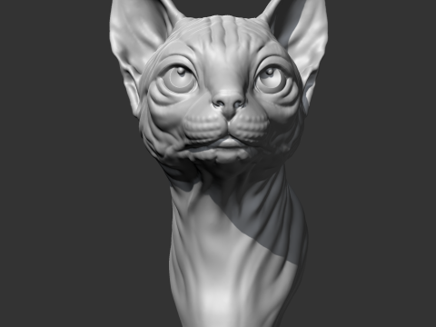 Sphynx Cat Head AM08 3D print model 3D 打印模型