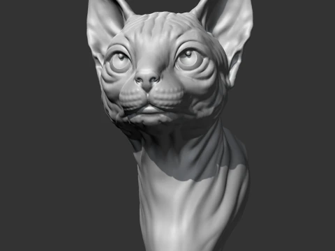 Sphynx Cat Head AM08 3D print model 3D Print Model