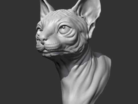 Sphynx Cat Head AM08 3D print model 3D Print Model