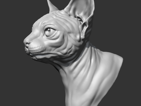 Sphynx Cat Head AM08 3D print model 3D Принт Модель