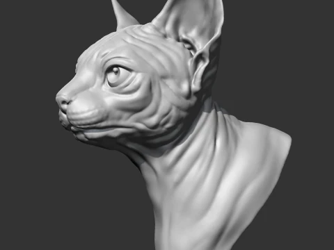 Sphynx Cat Head AM08 3D print model 3D Print Model