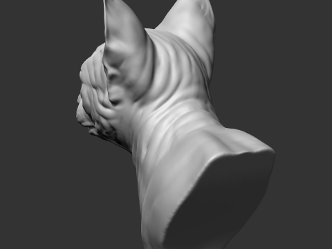 Sphynx Cat Head AM08 3D print model 3D Принт Модель