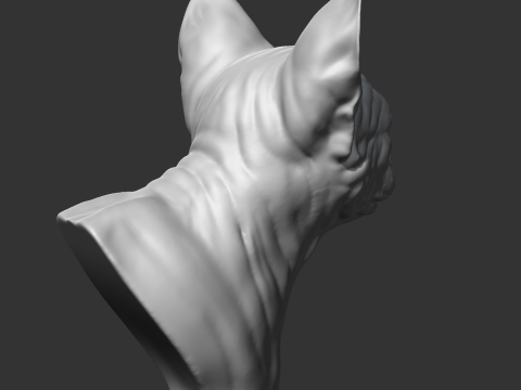 Sphynx Cat Head AM08 3D print model 3D Принт Модель