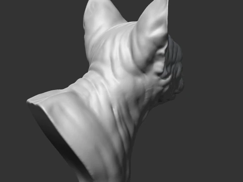 Sphynx Cat Head AM08 3D print model 3D Print Model