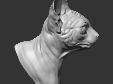 Sphynx Cat Head AM08 3D print model 3D Принт Модель