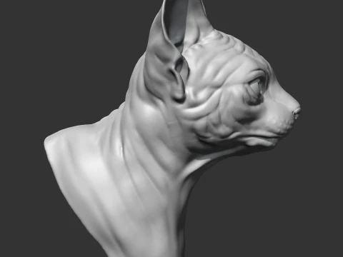 Sphynx Cat Head AM08 3D print model 3D Print Model