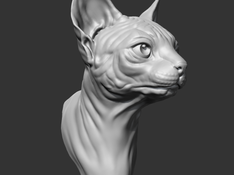 Sphynx Cat Head AM08 3D print model 3D Принт Модель