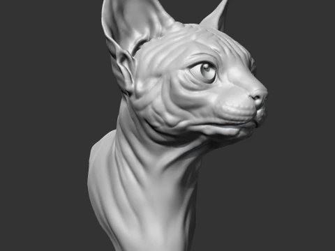 Sphynx Cat Head AM08 3D print model 3D Print Model