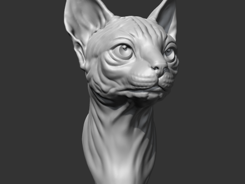 Sphynx Cat Head AM08 3D print model 3D Принт Модель