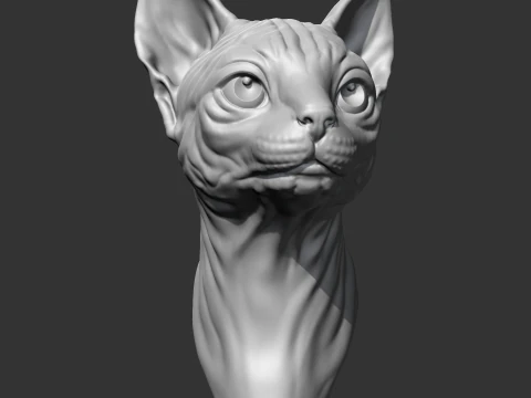 Sphynx Cat Head AM08 3D print model 3D Print Model