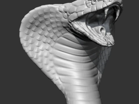 Modello di stampa 3D King Cobra Head AM09 Modello di stampa 3D