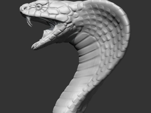 King Cobra Head AM09 3D print model 3D Print Model