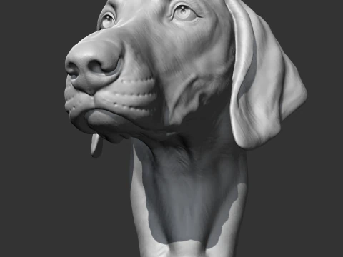 Weimaraner Head AM10 3D print model 3D Print Model