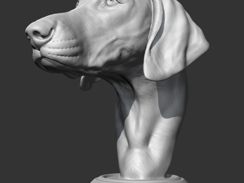 Weimaraner Head AM10 3D print model 3D Print Model