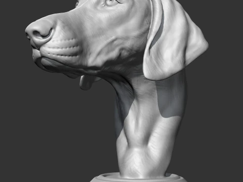 Weimaraner Head AM10 3D print model 3D Print Model