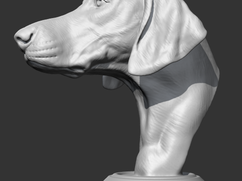 Weimaraner Head AM10 3D print model 3D Print Model