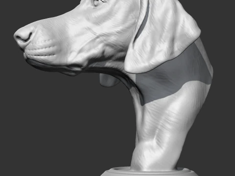 Weimaraner Head AM10 3D print model 3D Print Model